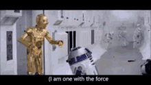 tenor.gif