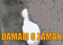 tenor.gif