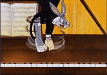 Bugs Bunny Piano GIFs | Tenor