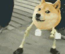 Doge Dancing Happy GIF - DogeDancing Doge Happy - Descubre & Comparte GIFs