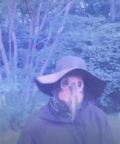 untitled.gif