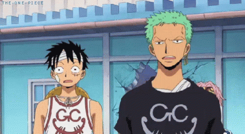Luffy And Zoro Together