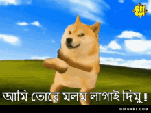 Dancing Doge GIFs | Tenor