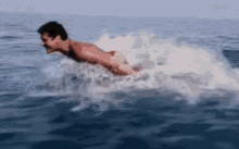 david hasselhoff screen saver mac david hasselhoff screen saver mac
