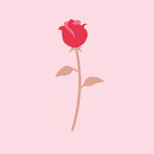 Rose Petals Falling Gifs Tenor