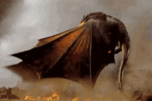 tenor.gif