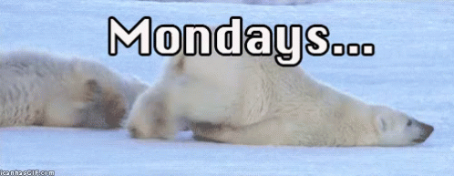 The popular Monday Morning GIFs everyone's sharing