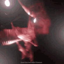 [Image: tenor.gif]