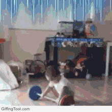 Kid Weights GIF - Kid Weights Strong GIFs