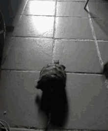 With you Slow riding sex gif Really. Slow riding sex gif