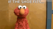 If The Shoe Fits GIFs | Tenor