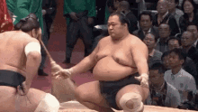 Sumo Sumo Fight GIF - Sumo SumoFight Japan GIFs