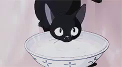 魔女の宅急便 ジジ ジブリ びっくり Gif Ghibli Surprised Cat Discover Share Gifs