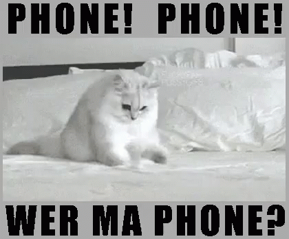 where's my phone?