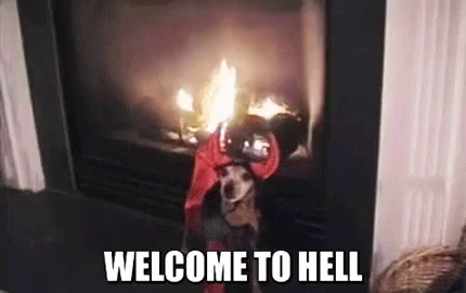 Dog Welcome To Hell Gif Dog Welcometohell Wait Discover Share Gifs