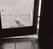 tenor.gif