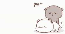 tenor.gif