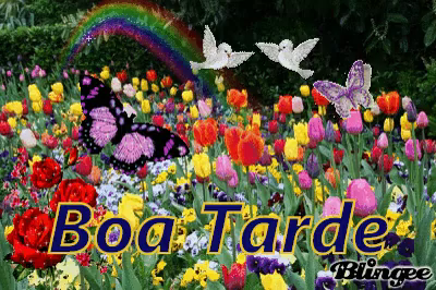 Boa Tarde Flores Do Campo GIF - Boatarde Borboleta Passarinho - Discover &  Share GIFs