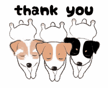 Image result for thank you doggy gif