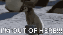 Im Out Of Here Gifs Tenor