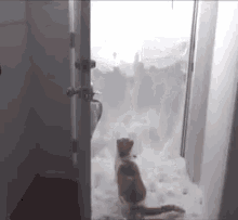 https://media.tenor.com/images/bf69aa0705adeb28ae72e2b29930b6e8/tenor.gif