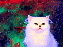 Cat Space GIFs | Tenor