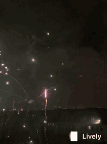 Celebrate Party GIF - Celebrate Party - Descubre &amp; Comparte GIFs