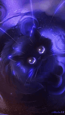 Blue Cat GIFs | Tenor
