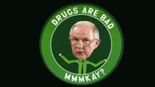 Image result for jeff sessions drugs gif