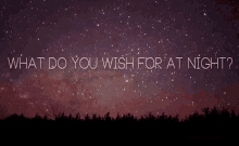 Wish Upon A Star Gifs Tenor