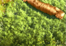 Raiponce GIF - Rapunzel Tangled LongHair GIFs