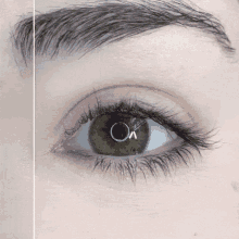 Eye Eye Lashes GIF - Eye EyeLashes Lashes GIFs