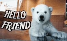 Hello Friend GIFs | Tenor