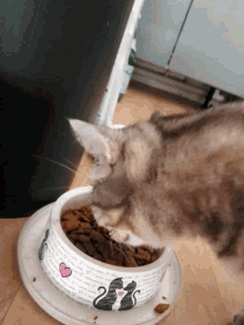 Bon Appetit Cat GIF - BonAppetit Cat Food - Discover & Share GIFs