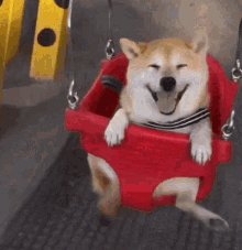 Featured image of post Shiba Inu Meme Gif : See, rate and share the best shiba inu memes, gifs and funny pics.