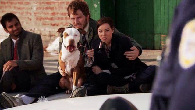 Champion Parks And Rec Gif Champion Parksandrec April Discover Share Gifs The champion of death in the season finale, 'parks' does cliffhangers its own way. champion parks and rec gif champion parksandrec april discover share gifs