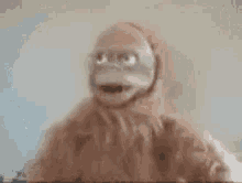 Featured image of post Monkey Puppet Meme Gif
