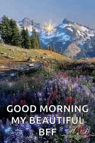 Good Morning Floral Gif Goodmorning Floral Nature Discover