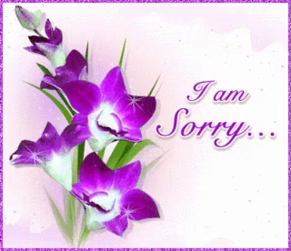 Sorry I Am Sorry Gif Sorry I Am Sorry Flowers Discover Share Gifs