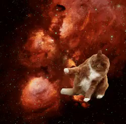 宇宙ねこ うちゅうねこ 宇宙猫 Gif Spacecat Discover Share Gifs