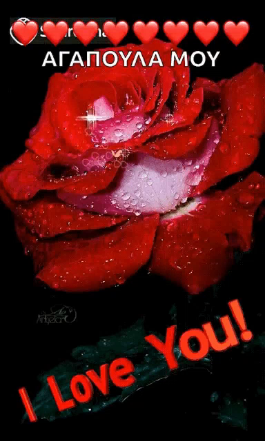 Ilove You Rose Gif Iloveyou Rose Flower Discover Share Gifs