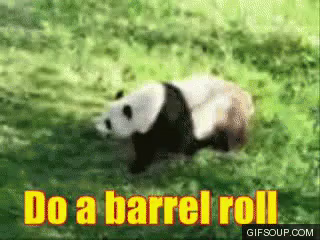 Do A Barrel Roll Peppy