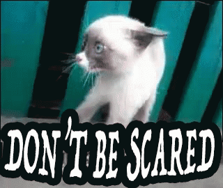 untitled.gif