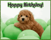 Download Cute Puppy Happy Birthday Gif Png Gif Base