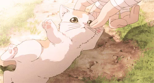 Cat Anime GIF - Cat Anime Pet - Discover & Share GIFs