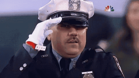 Image result for salute gifs