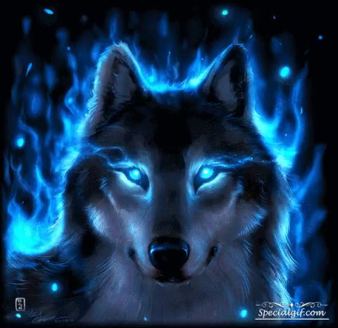 light blue wolf