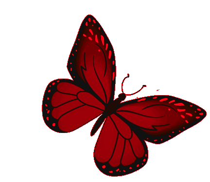 Butterfly Red GIF - Butterfly Red Monarch - Discover & Share GIFs