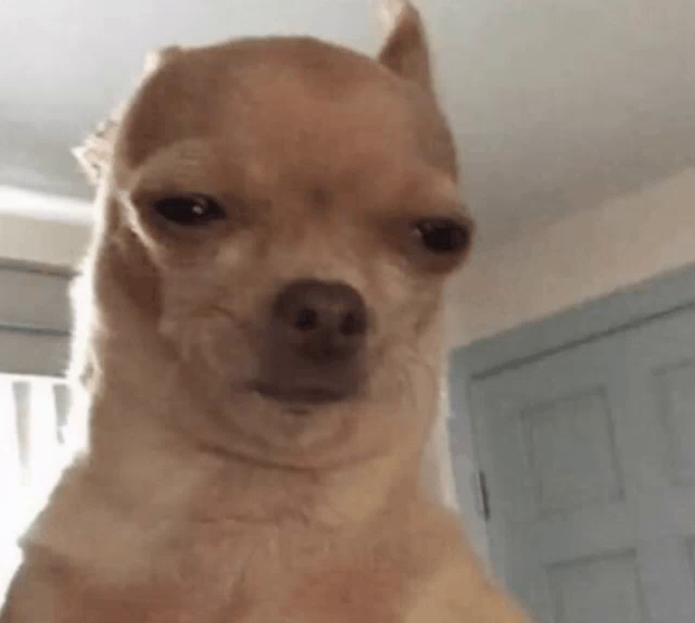 pix Bonk Hammer Doge bonk dog gif bonk dog hammer discover share gifs