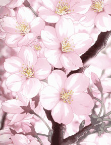 Featured image of post Aesthetic Cherry Blossom Wallpaper Gif